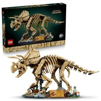 Dinosaurier-Fossilien: Triceratops