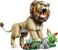 Wilde Tiere: Majestätischer Löwe