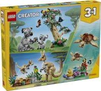 Wilde Tiere: Koala-Familie