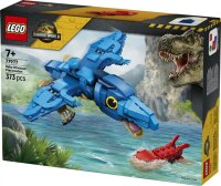 Baby Dinosaur: Pteranodon