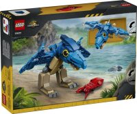 Baby Dinosaur: Pteranodon