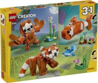 Niedliche Tiere: Roter Panda