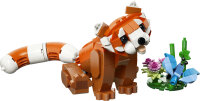 Niedliche Tiere: Roter Panda