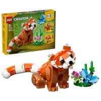 Niedliche Tiere: Roter Panda