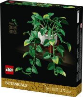 Hängende Efeutute